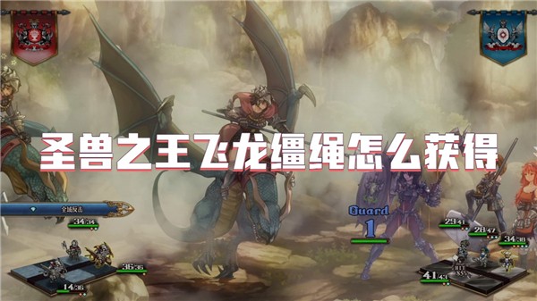 圣兽之王飞龙缰绳怎么获得-圣兽之王飞龙缰绳在什么地方买