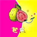 香妃直播安装包免费下载