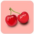 梅花短视频app