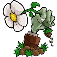 植物大战僵尸转基因版最新版官网版下载-植物大战僵尸转基因版最新版手机版v2.0.4