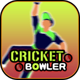 棒球投球手Cricket Bowler手机客户端下载
